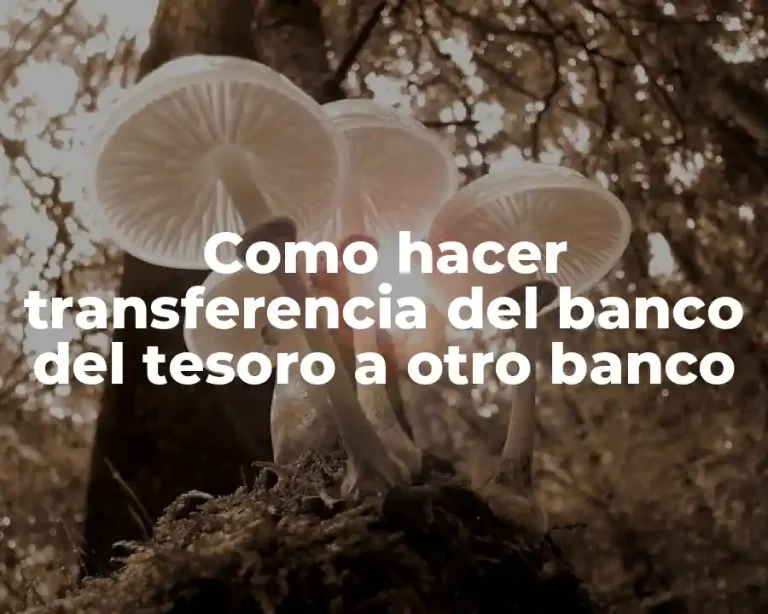 Como hacer transferencia del banco del tesoro a otro banco