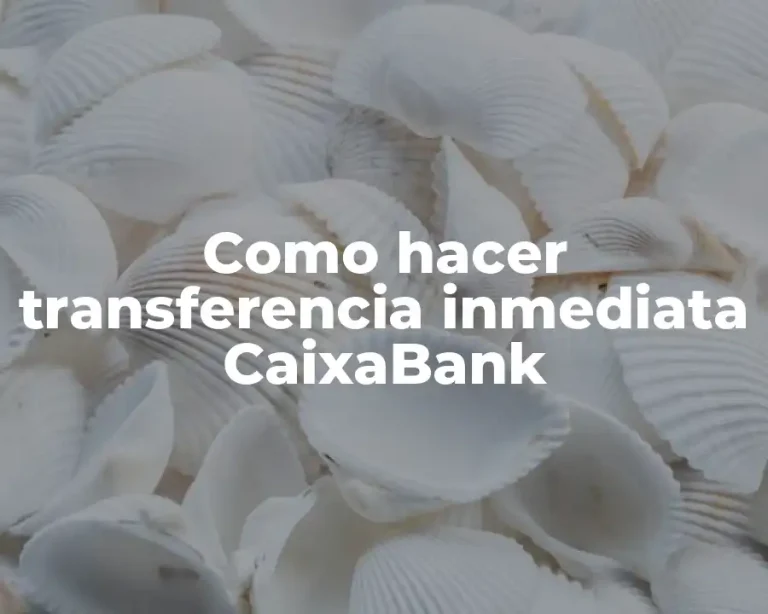 Como hacer transferencia inmediata CaixaBank