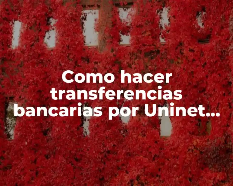 Como hacer transferencias bancarias por Uninet del Banco Unión