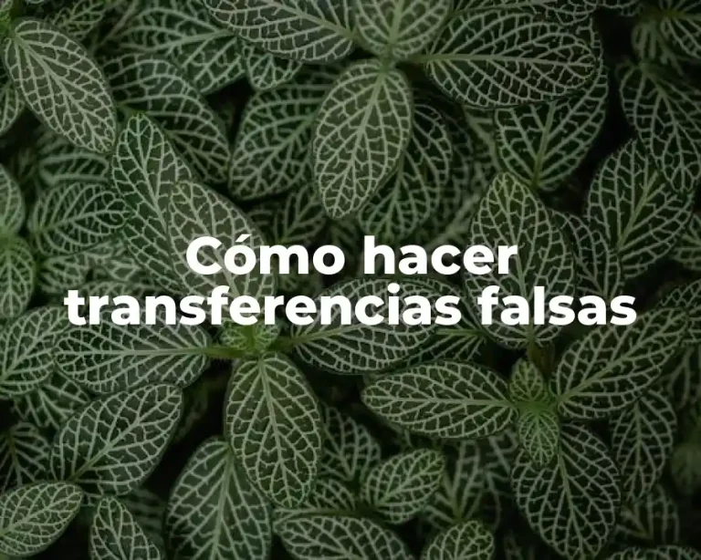 Cómo hacer transferencias falsas