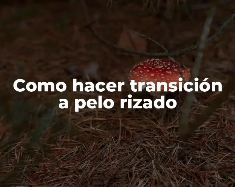 Como hacer transición a pelo rizado