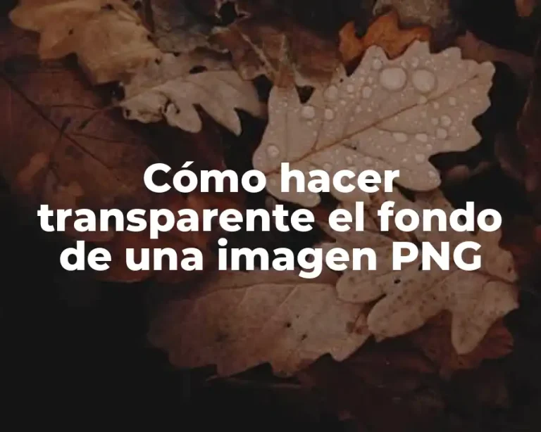 Cómo hacer transparente el fondo de una imagen PNG
