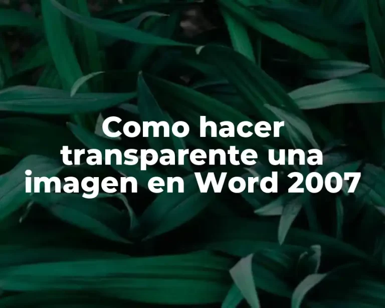 Como hacer transparente una imagen en Word 2007