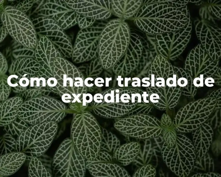 Cómo hacer traslado de expediente