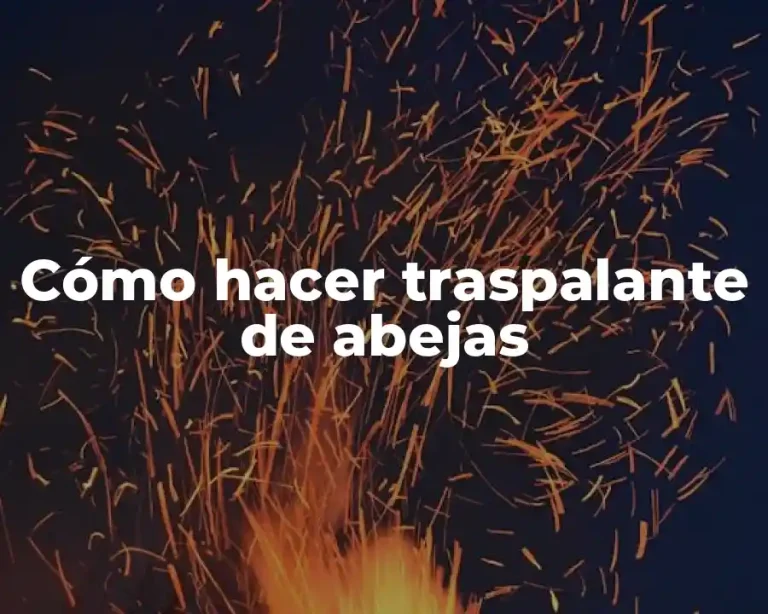 Cómo hacer traspalante de abejas