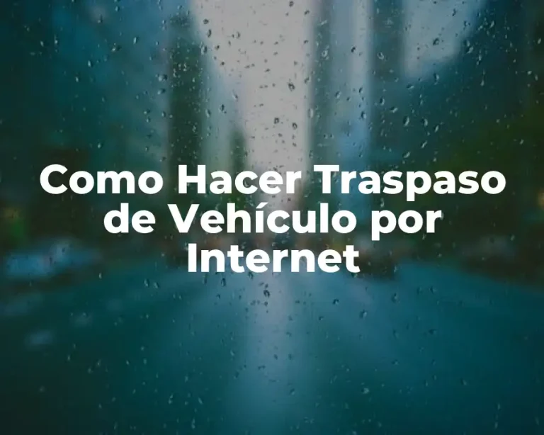 Como Hacer Traspaso de Vehículo por Internet