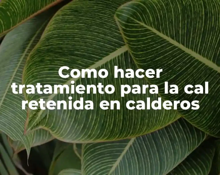 Como hacer tratamiento para la cal retenida en calderos