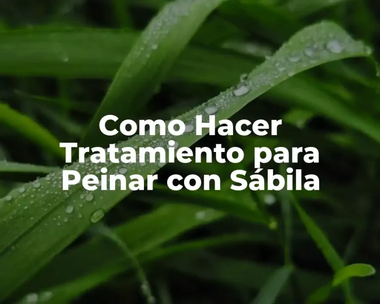 Como Hacer Tratamiento para Peinar con Sábila