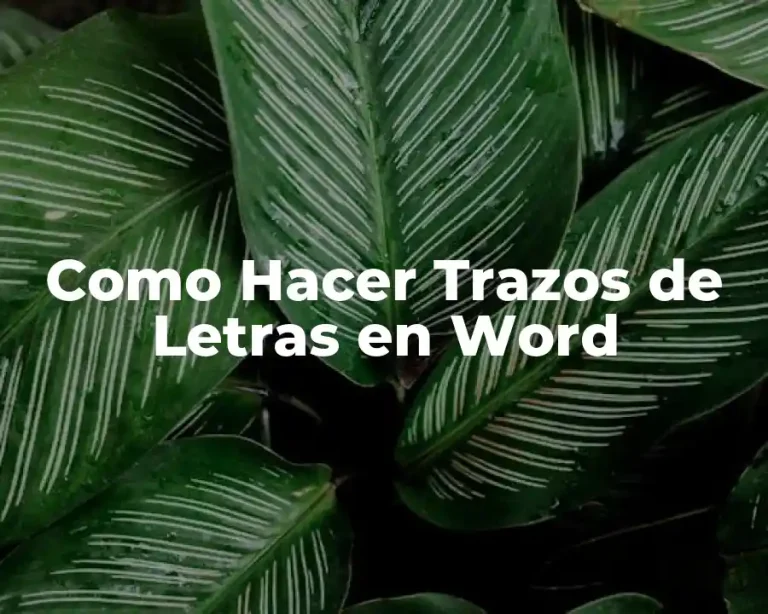 Como Hacer Trazos de Letras en Word