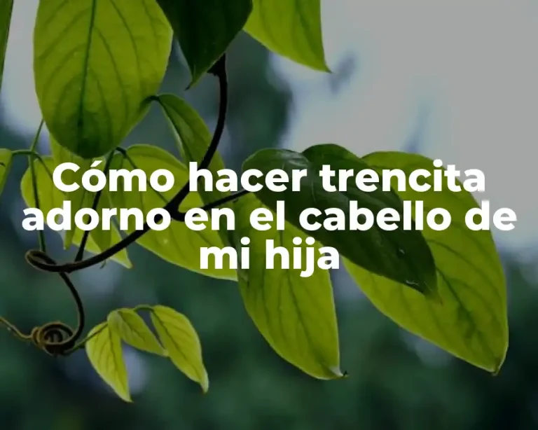 Cómo hacer trencita adorno en el cabello de mi hija