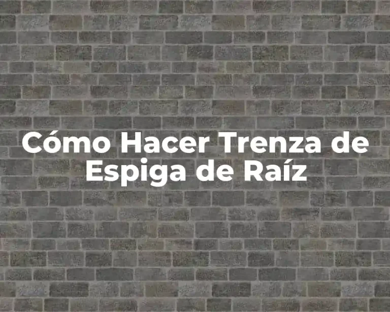 Cómo Hacer Trenza de Espiga de Raíz