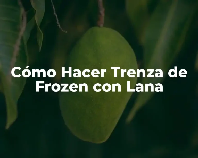 Cómo Hacer Trenza de Frozen con Lana