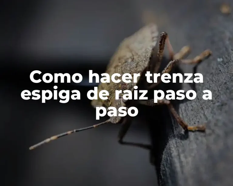 Como hacer trenza espiga de raiz paso a paso