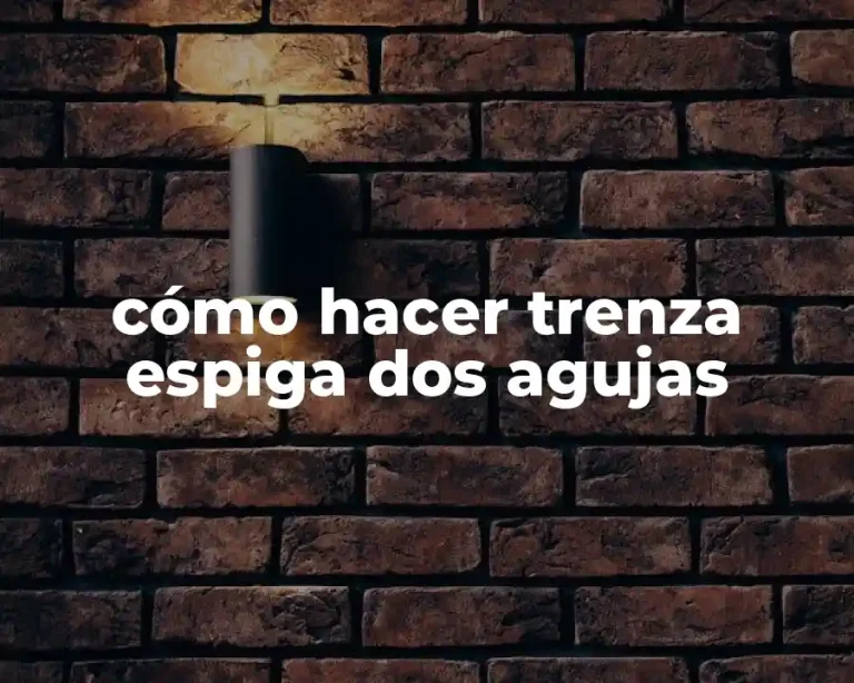 cómo hacer trenza espiga dos agujas