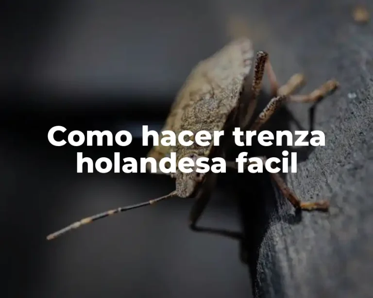 Como hacer trenza holandesa facil