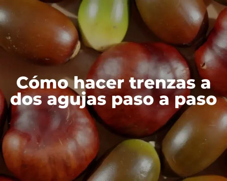 Cómo hacer trenzas a dos agujas paso a paso