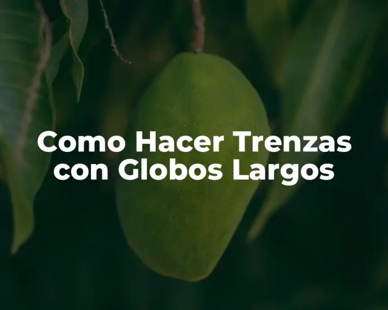 Como Hacer Trenzas con Globos Largos