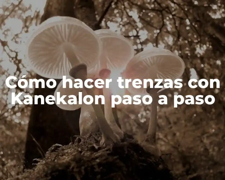 Cómo hacer trenzas con Kanekalon paso a paso