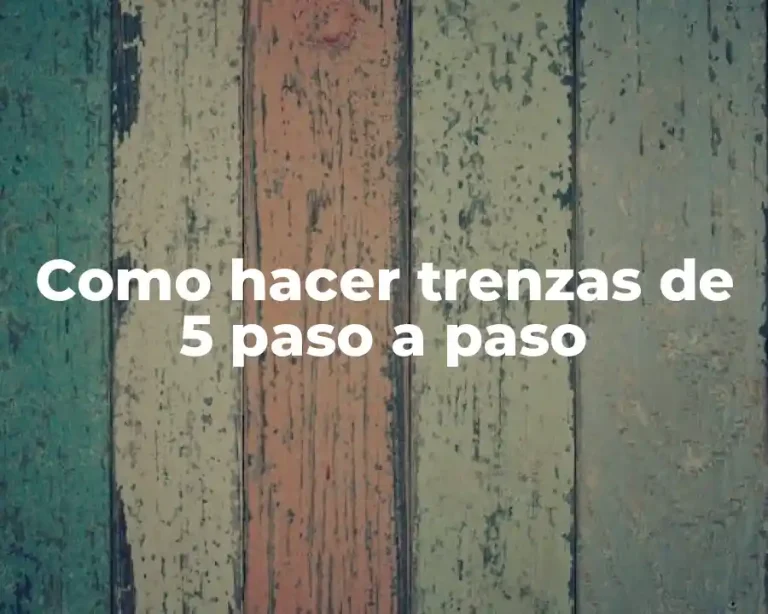 Como hacer trenzas de 5 paso a paso