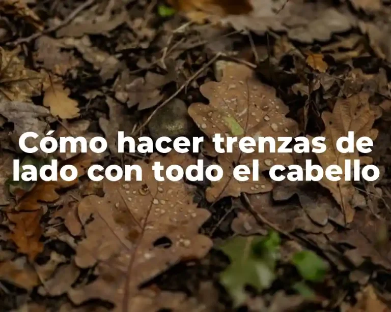 Cómo hacer trenzas de lado con todo el cabello