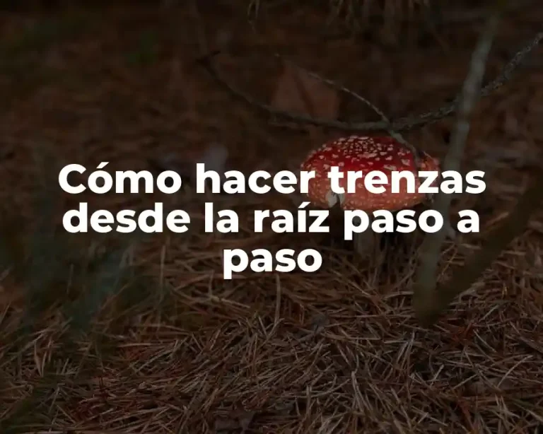 Cómo hacer trenzas desde la raíz paso a paso