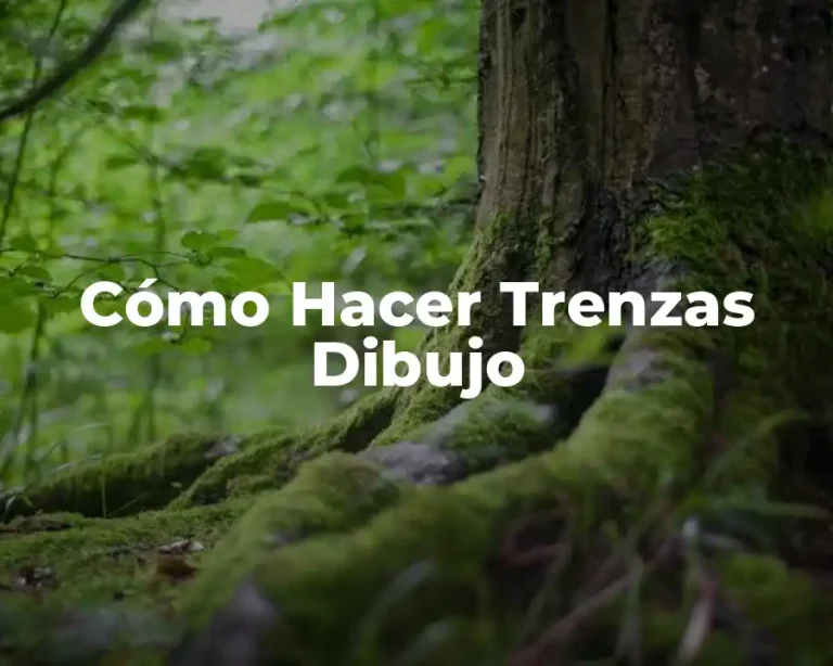 Cómo Hacer Trenzas Dibujo