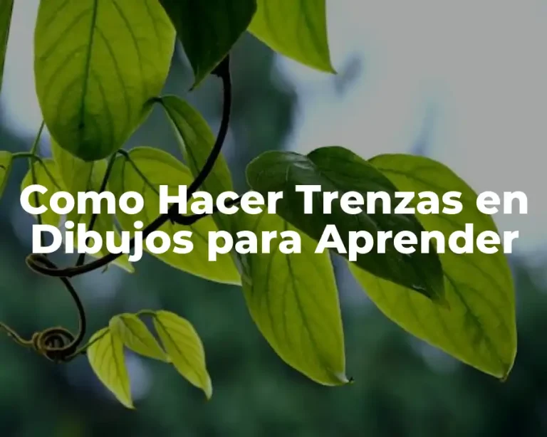 Como Hacer Trenzas en Dibujos para Aprender