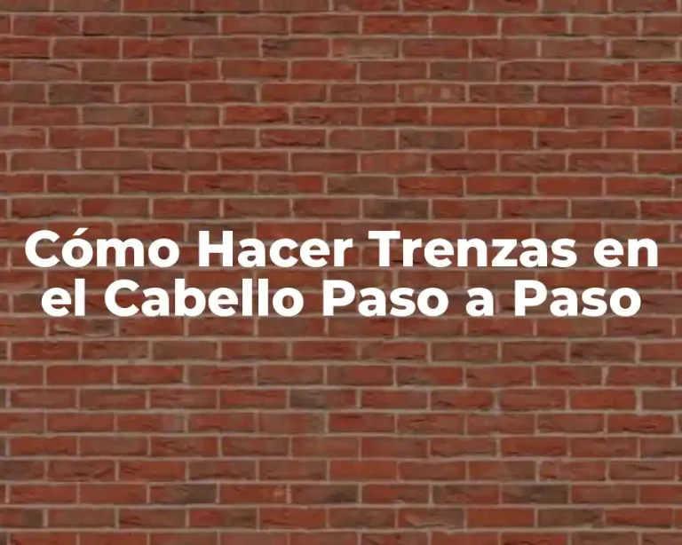 Cómo Hacer Trenzas en el Cabello Paso a Paso