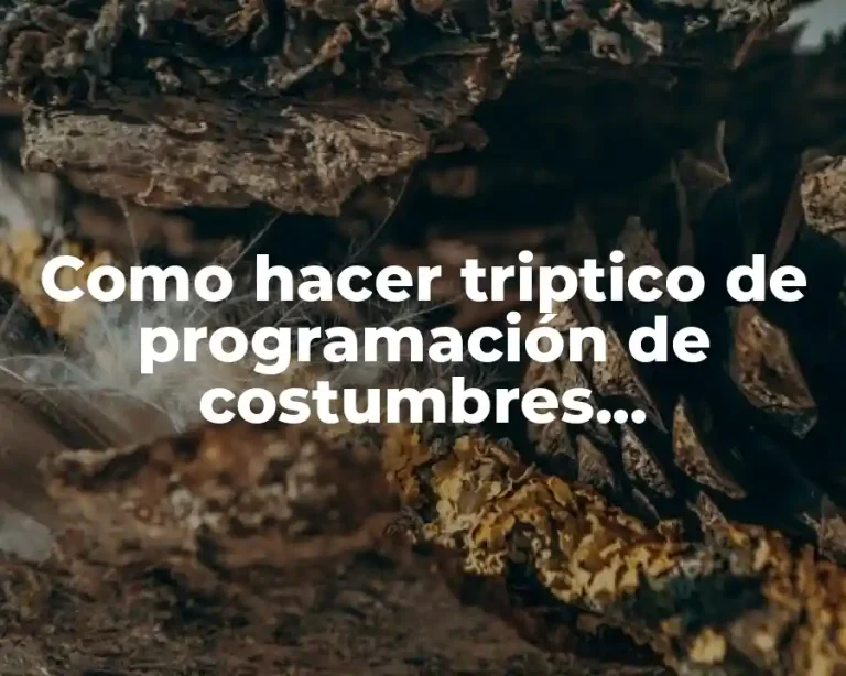 Como hacer triptico de programación de costumbres gastronómicas del mundo