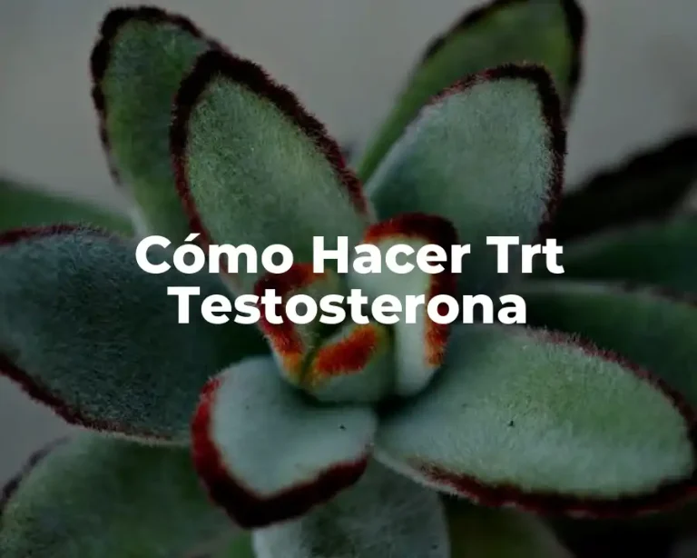 Cómo Hacer Trt Testosterona