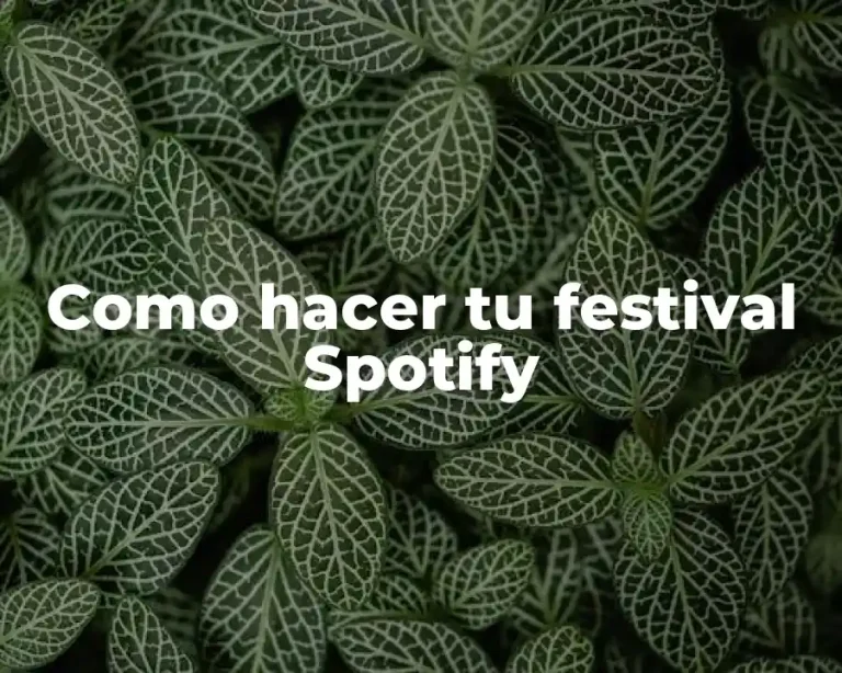 Como hacer tu festival Spotify