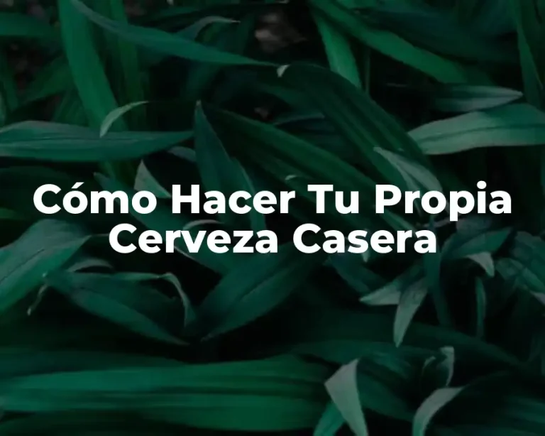 Cómo Hacer Tu Propia Cerveza Casera