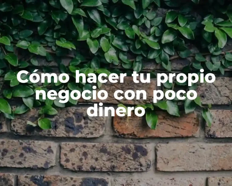 Cómo hacer tu propio negocio con poco dinero