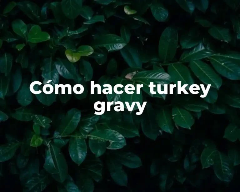 Cómo hacer turkey gravy