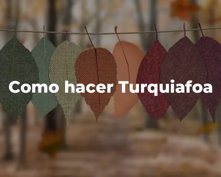 Como hacer Turquiafoa