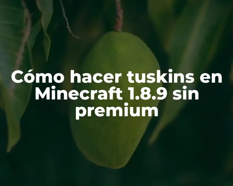 Cómo hacer tuskins en Minecraft 1.8.9 sin premium