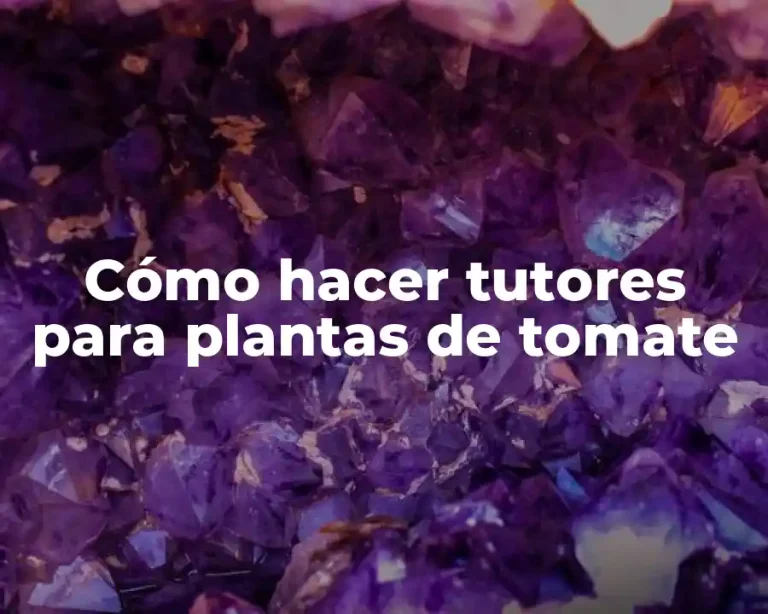 Cómo hacer tutores para plantas de tomate
