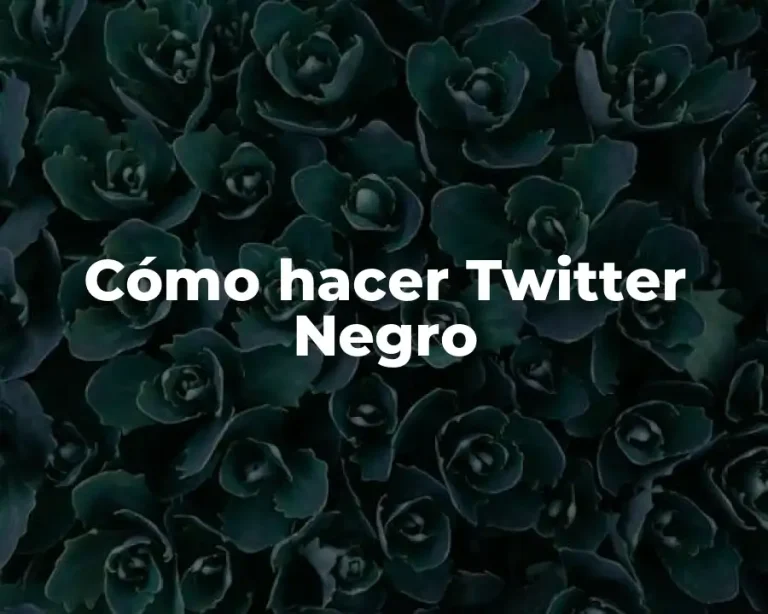 Cómo hacer Twitter Negro