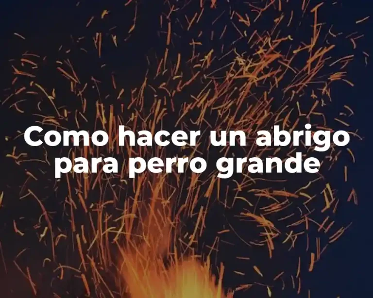 Como hacer un abrigo para perro grande