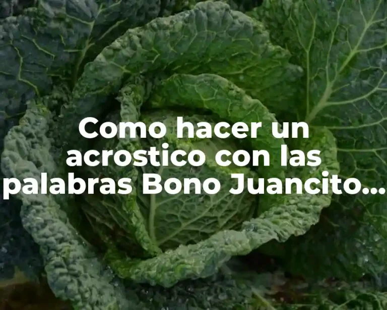 Como hacer un acrostico con las palabras Bono Juancito Pinto