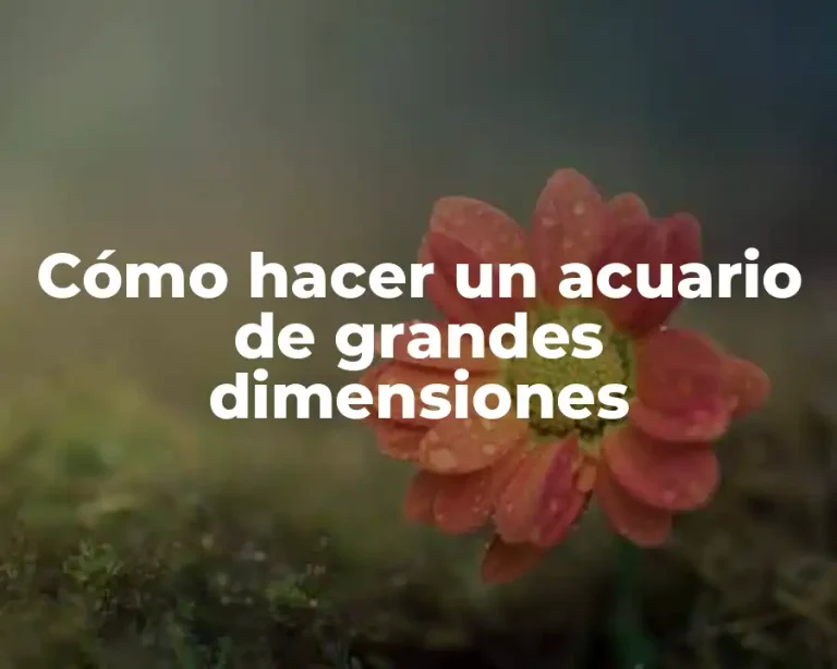Cómo hacer un acuario de grandes dimensiones