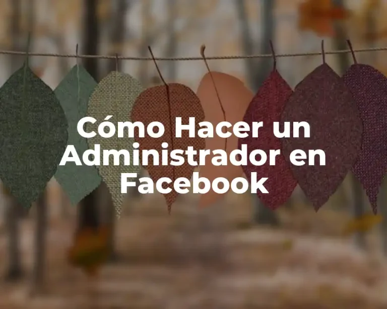 Cómo Hacer un Administrador en Facebook