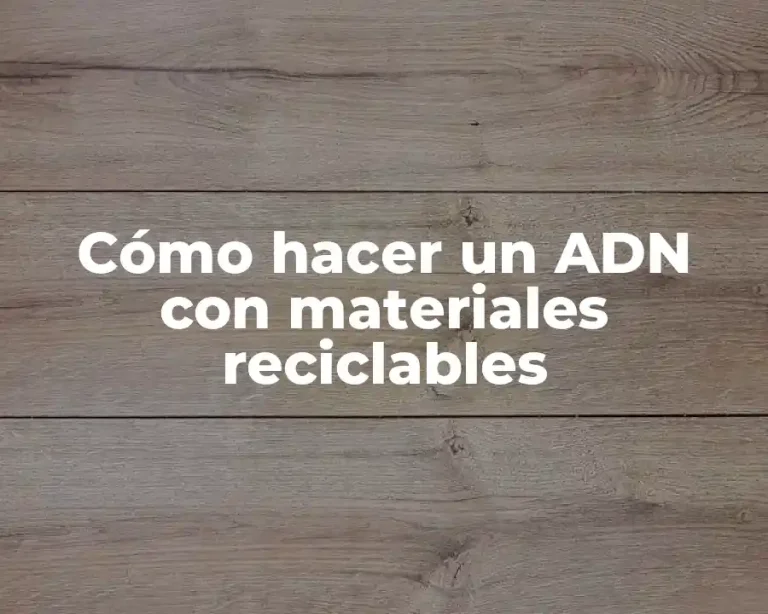 Cómo hacer un ADN con materiales reciclables