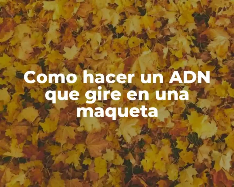 Como hacer un ADN que gire en una maqueta