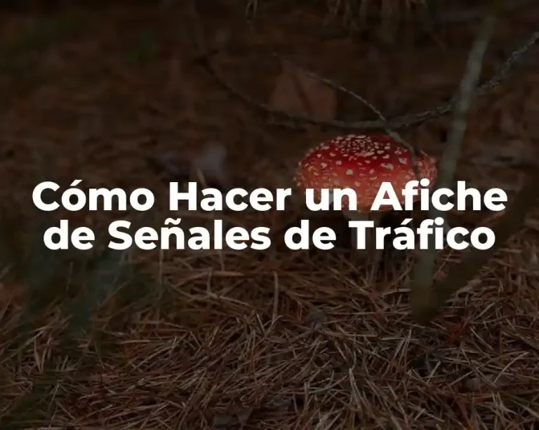 Cómo Hacer un Afiche de Señales de Tráfico