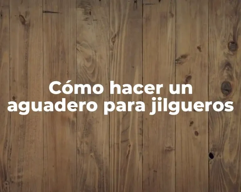 Cómo hacer un aguadero para jilgueros