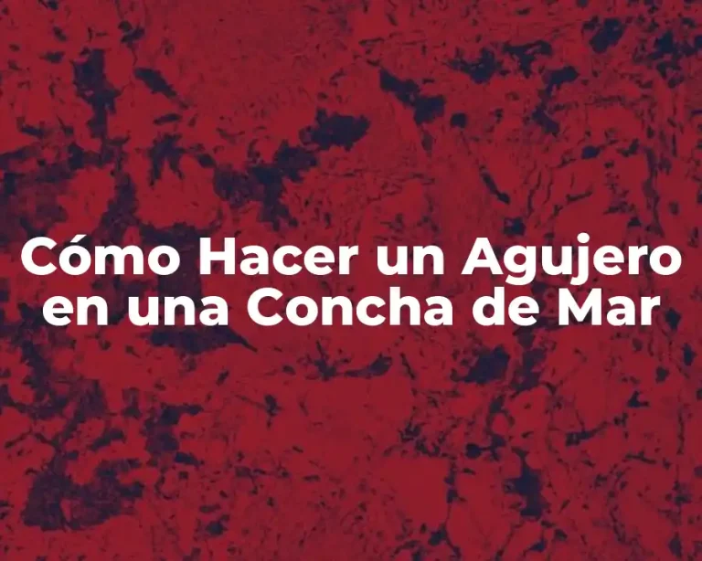 Cómo Hacer un Agujero en una Concha de Mar