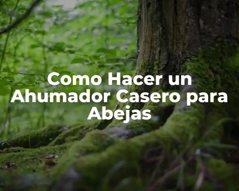 Como Hacer un Ahumador Casero para Abejas