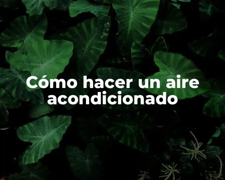 Cómo hacer un aire acondicionado