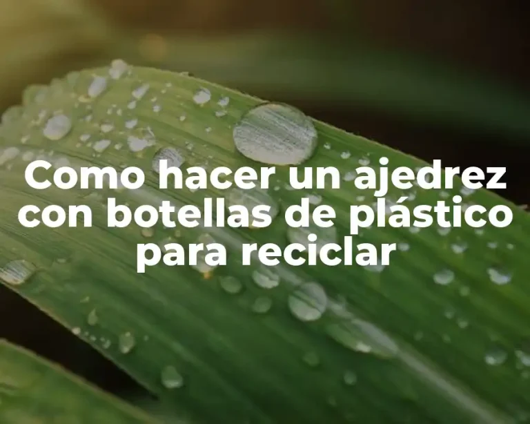 Como hacer un ajedrez con botellas de plástico para reciclar